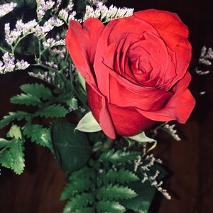 Meet your Posher, Cassidy